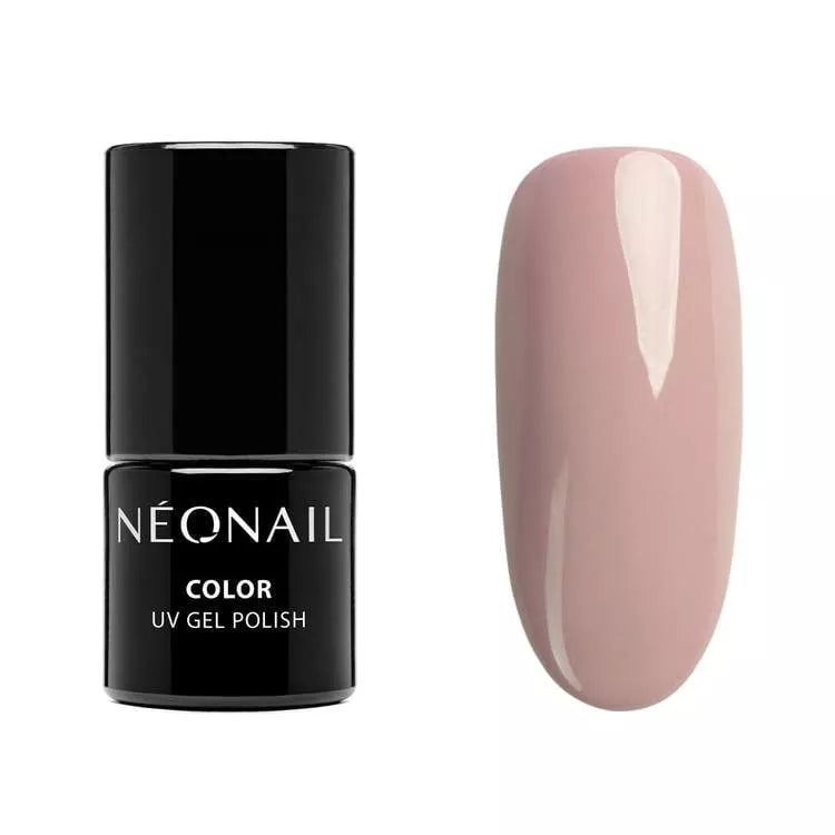 Advent Calendar 2023 (12 Windows)