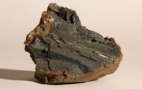 24K GOLD MINERAL MUD MASK