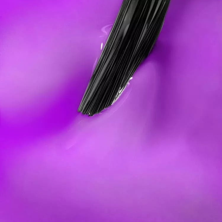 Whispers of Seashells