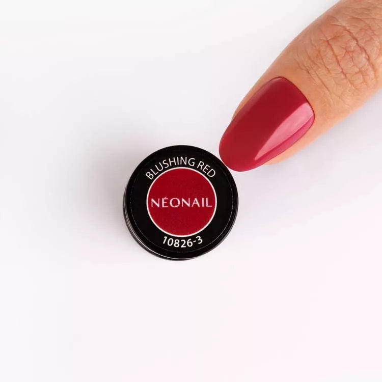 Golden Muse Collection Set