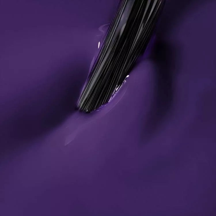 NN Expert 15 ml - No risk, No story
