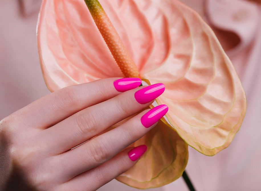 Pink Fever
