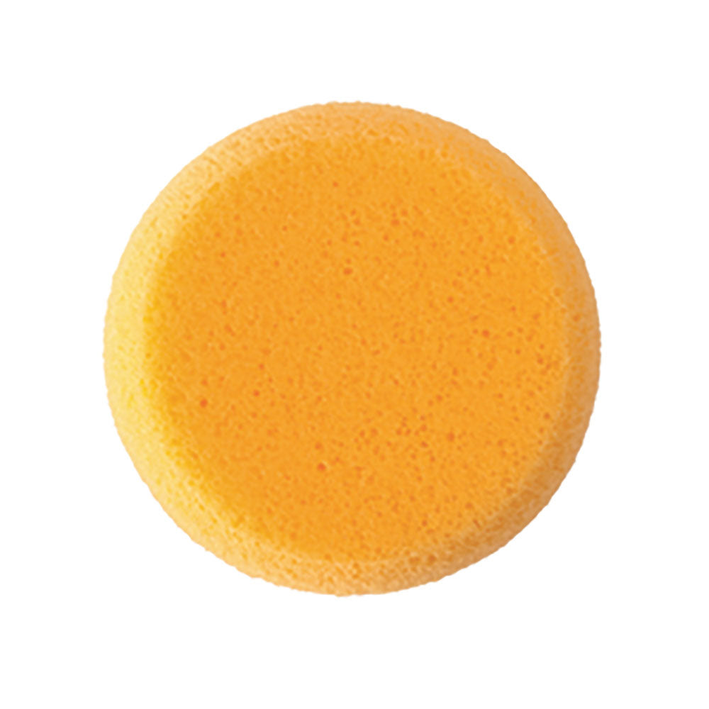 HYDRA SPONGES