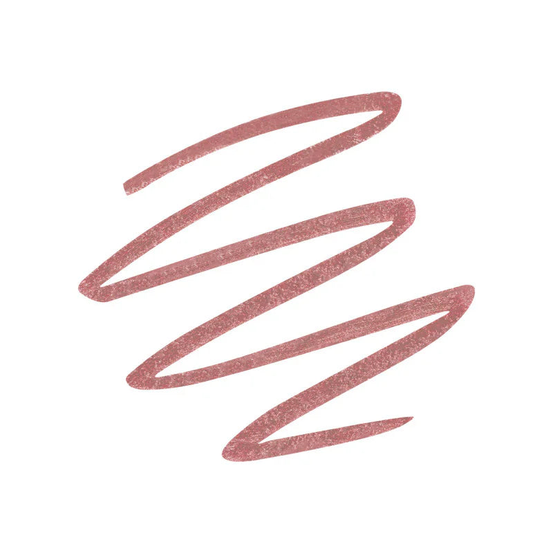 2in1 Lasting Lip Liner & Gloss 04