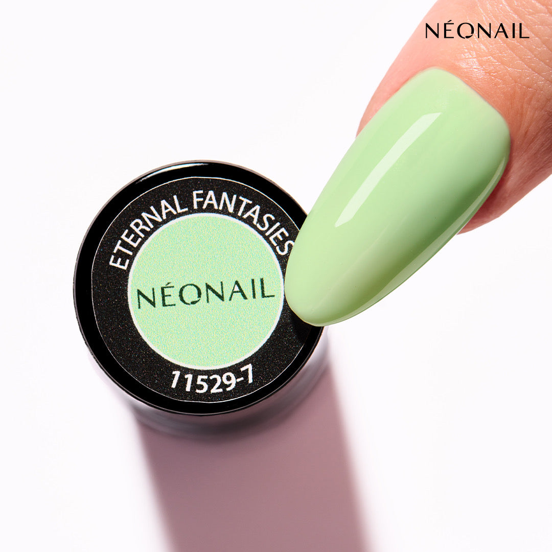Eternal Fantasies