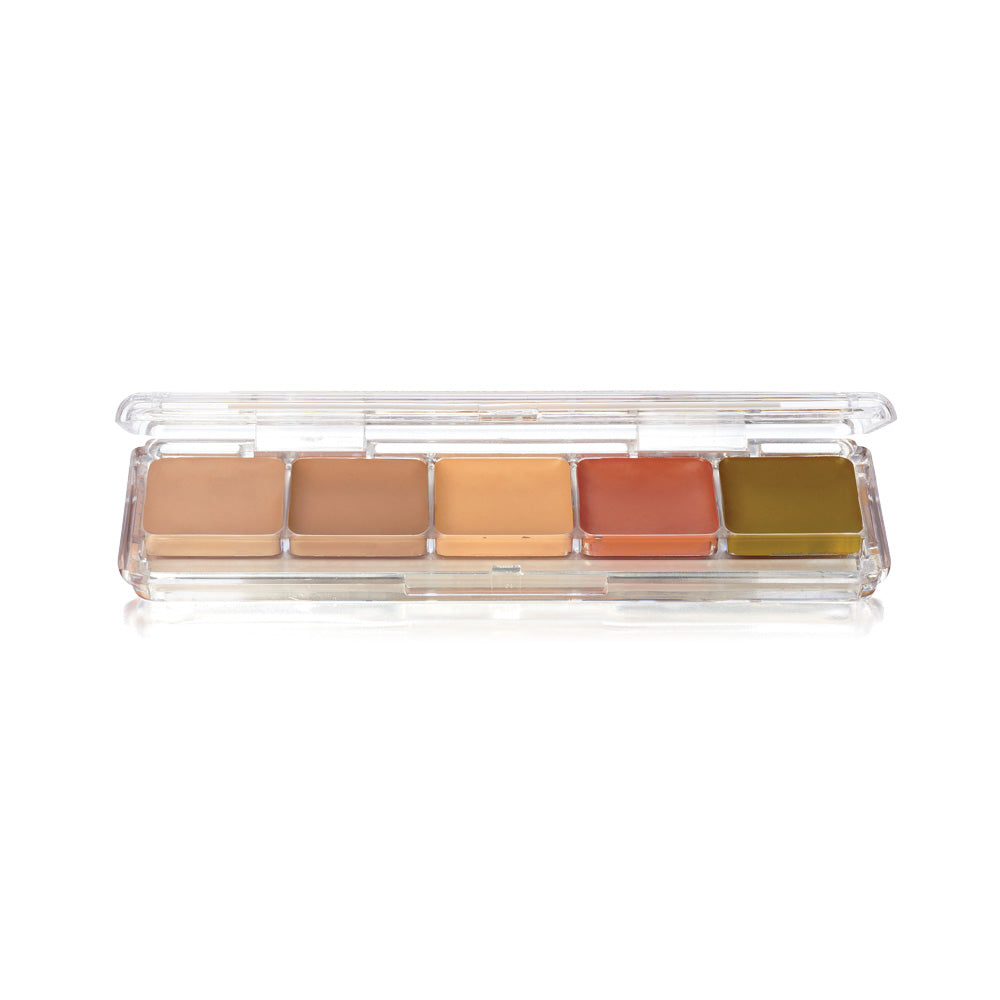CONCEALER & ADJUSTER ALCOHOL PALETTE