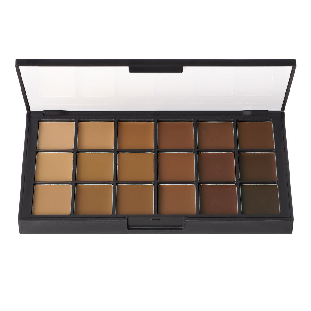 OLIVE-BROWN MATTEHD FOUNDATION PALETTE