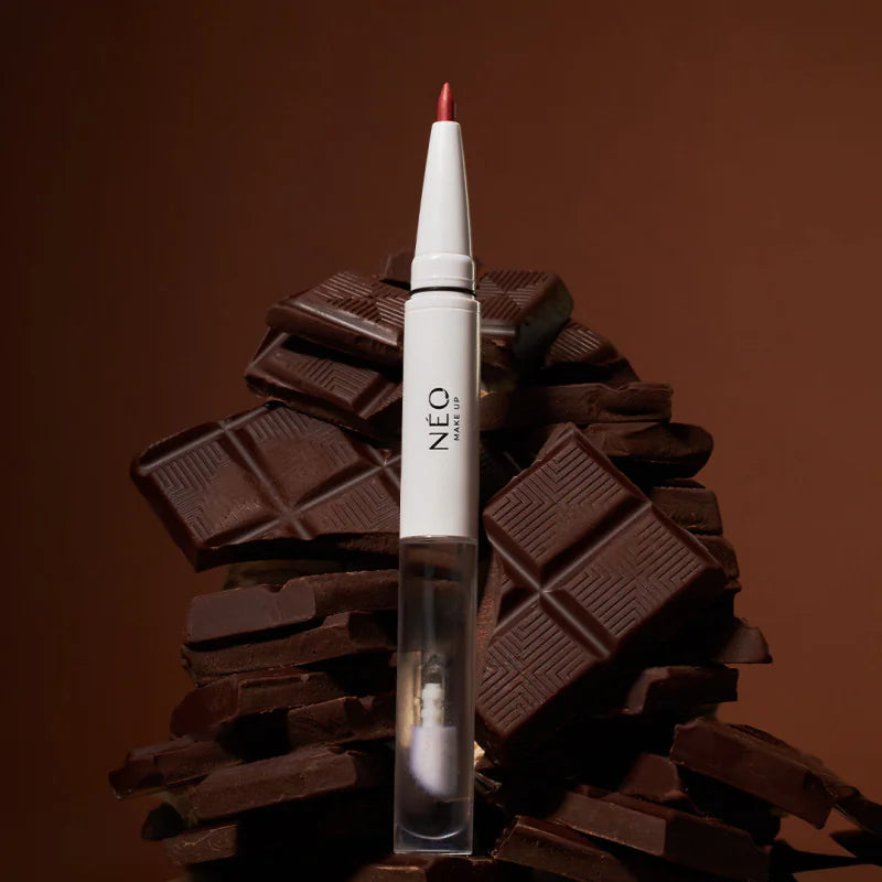 2in1 Lasting Lip Liner & Gloss 06