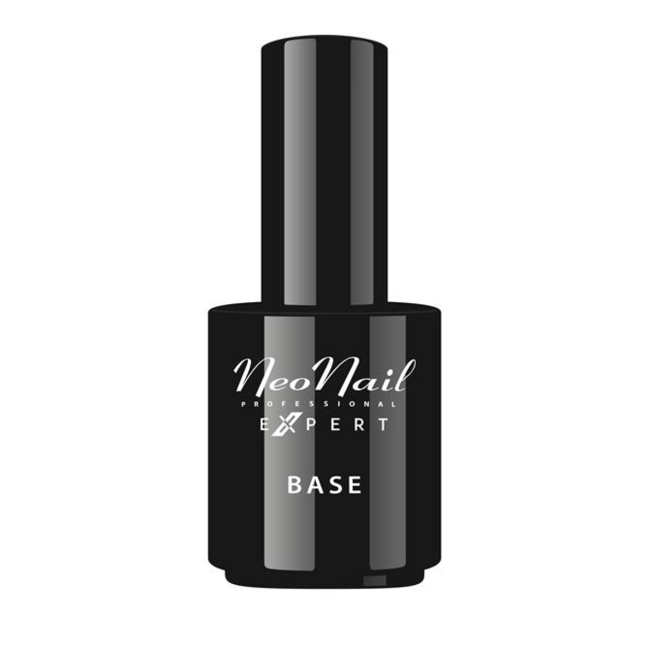 Rubber Base