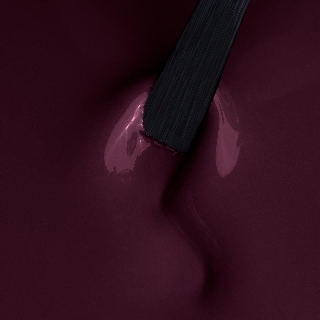 SENSUAL DREAM