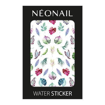 Water Sticker NN11