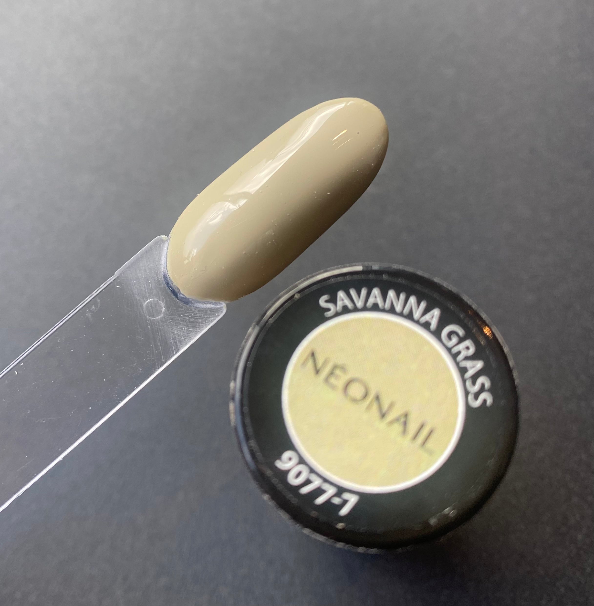 Savanna Grass